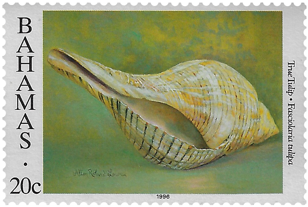 20c 1996, Shells, True Tulip