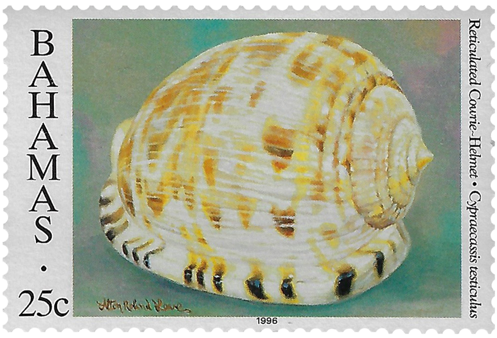 25c 1996, Shells, Reticulated Cowrie-Helmet