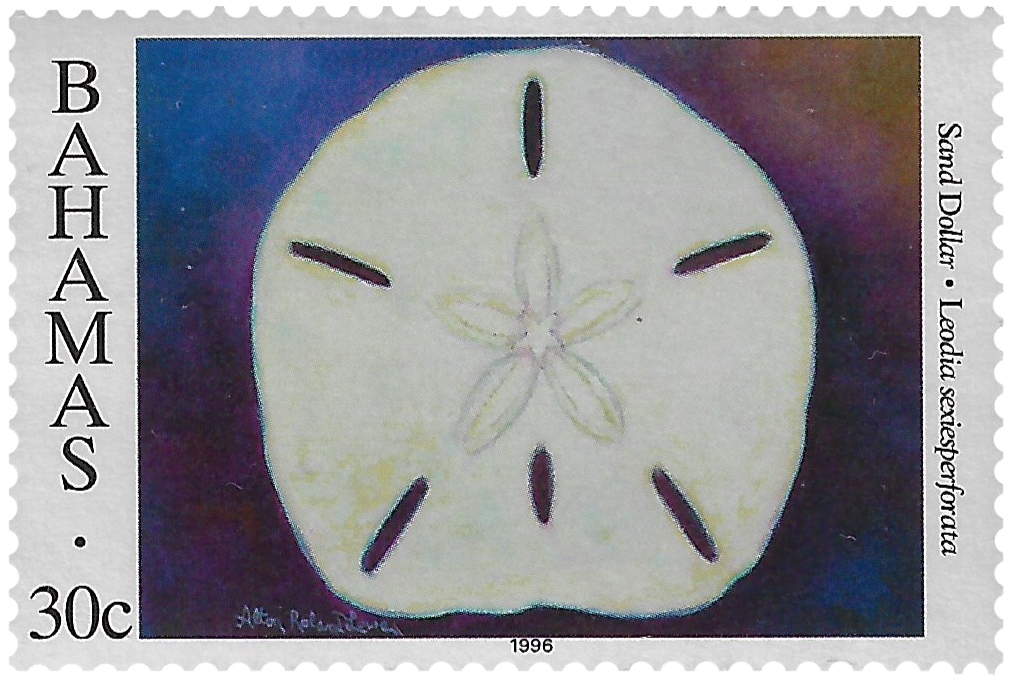 30c 1996, Shells, Sand Dollar