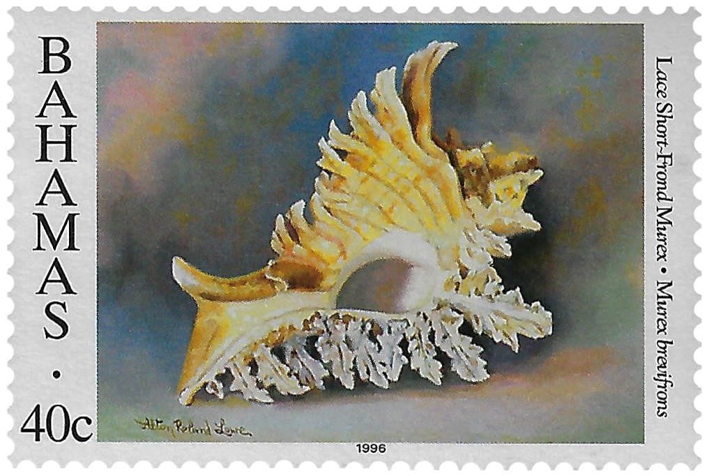 40c 1996, Shells, Lace Short-Frond Murex