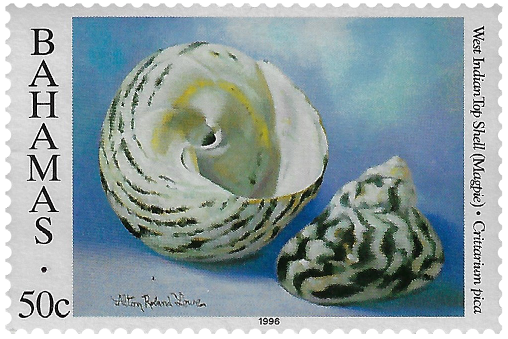 50c 1996, Shells, West Indian Top Shell (Magpie)