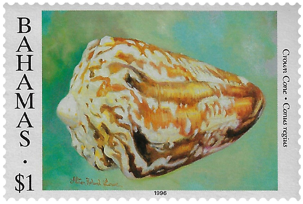 1d 1996, Shells, Crown Cone