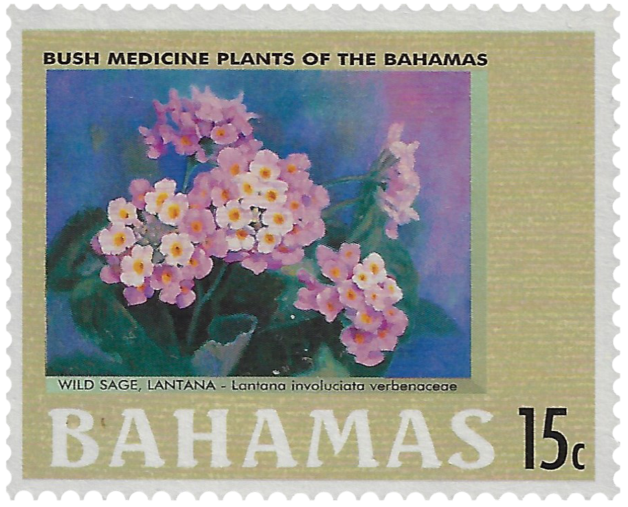 15c 2002, Bush Medicine Plants of the Bahamas, Wild Sage, Lantana