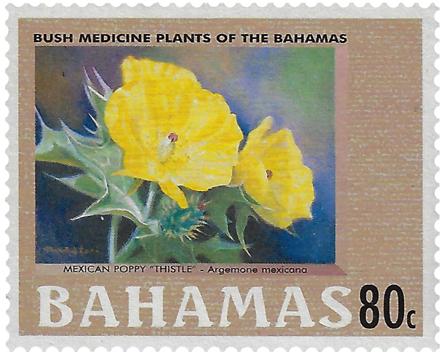 80c 2002, Bush Medicine Plants of the Bahamas, Mexican Poppy 'Thistle'