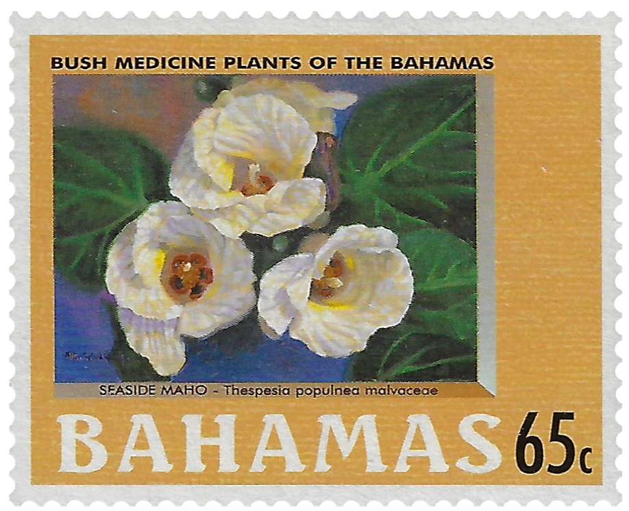 65c 2002, Bush Medicine Plants of the Bahamas, Seaside Maho