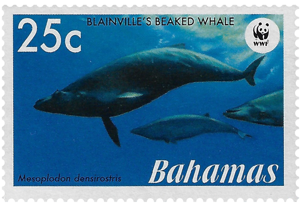 25c 2007, WWF, Blainville's Beaked Whale, Mesoplodon densirostris
