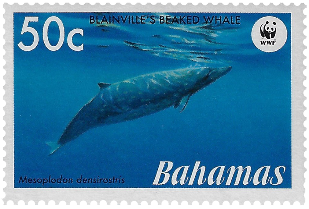 50c 2007, WWF, Blainville's Beaked Whale, Mesoplodon densirostris