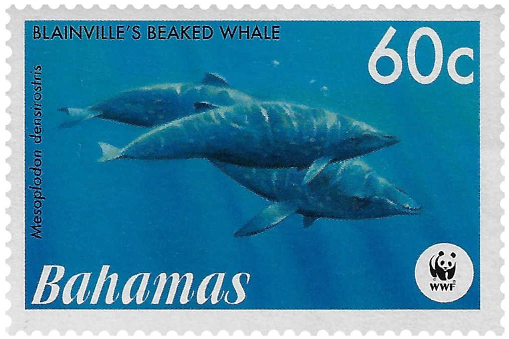 60c 2007, WWF, Blainville's Beaked Whale, Mesoplodon densirostris