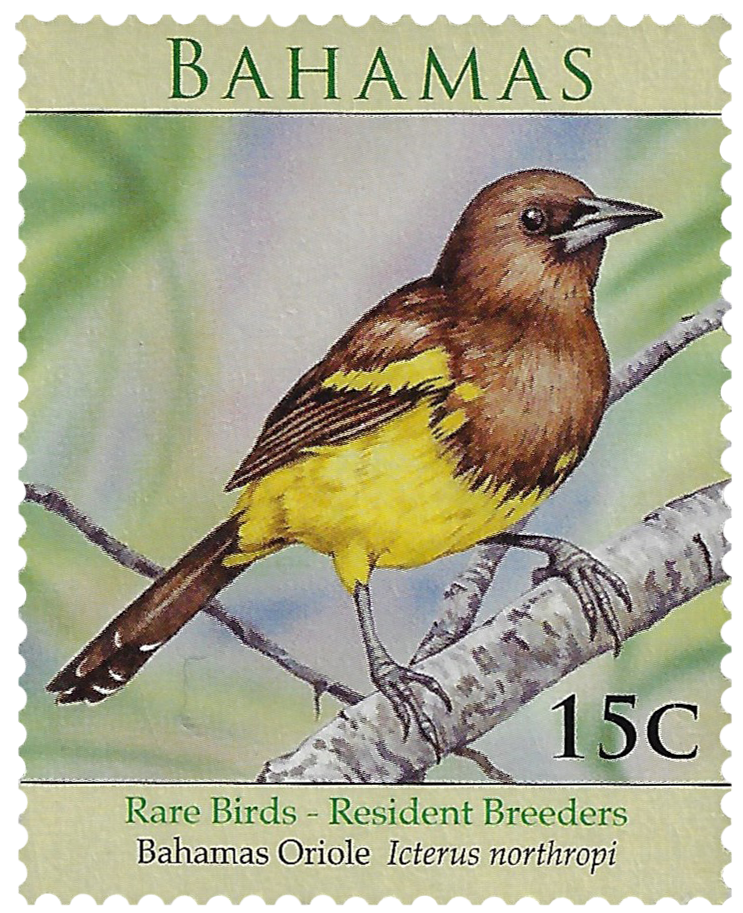 15c 2009, Rare Birds, Bahamas Oriole