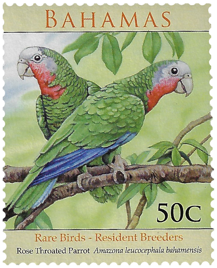 50c 2009, Rare Birds, Rose Troated Parrot