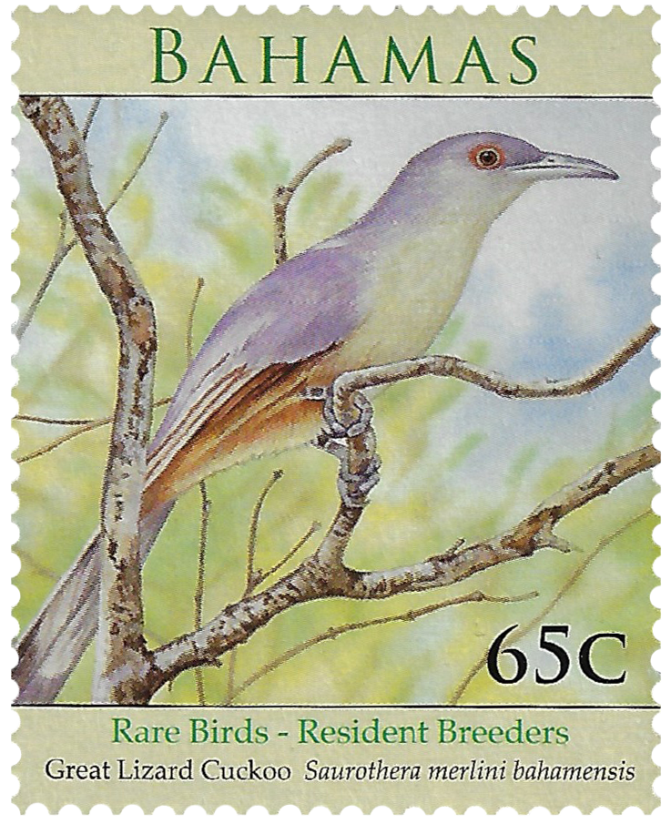 65c 2009, Rare Birds - Resident Breeders, Great Lizard Cuckoo, Saurothera merlini bahamensis
