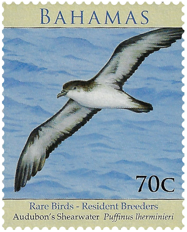 70c 2009, Rare Birds - Resident Breeders, Audubon's Shearwater, Puffinus lherminieri