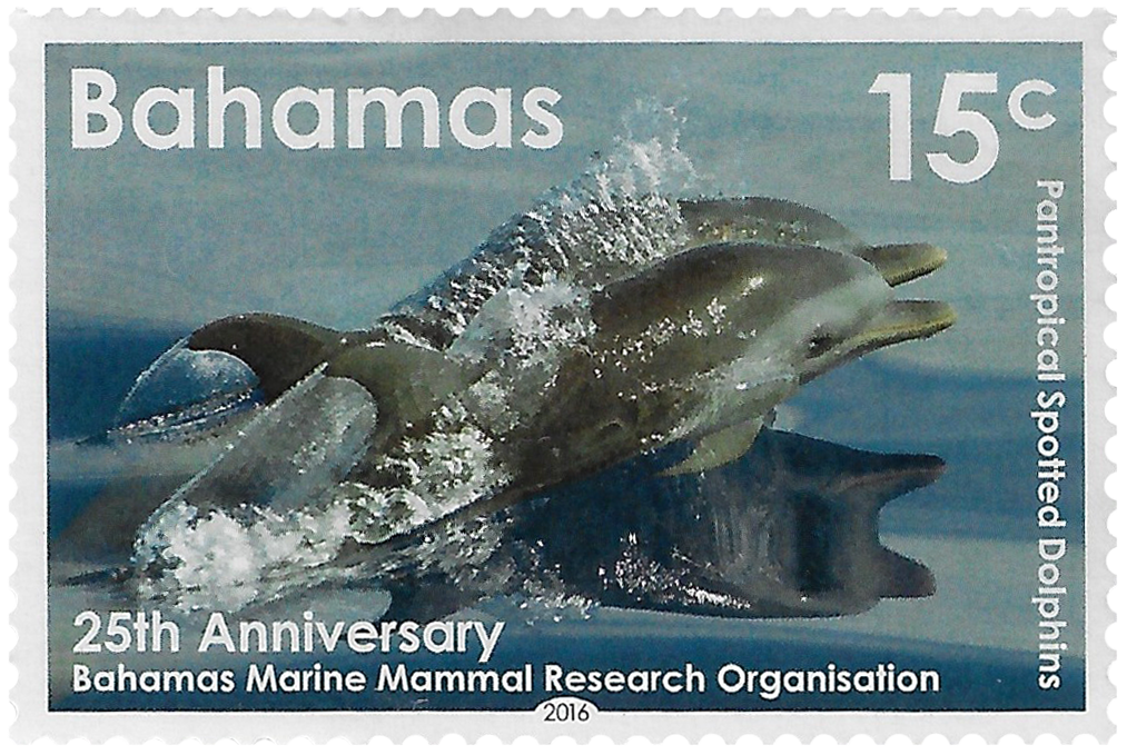 15c 2016, 25th Anniversary, Bahamas Marine Mammal Research Organisation, Pantropical Spotted Dolphin