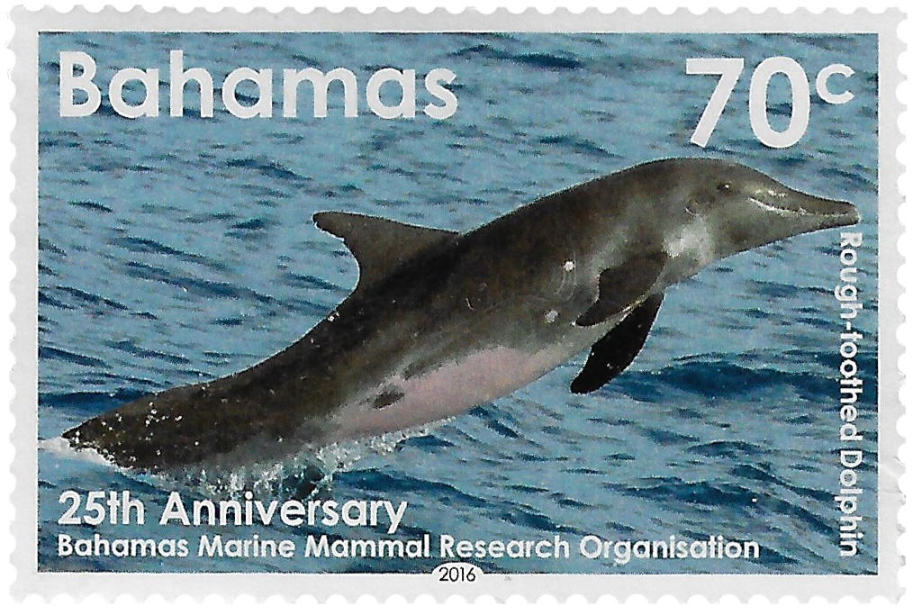 70c 2016, 25th Anniversary, Bahamas Marine Mammal Research Organisation, Rough-Toothed Dolphin